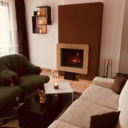Marina Apartment Bansko Dış mekan fotoğraf